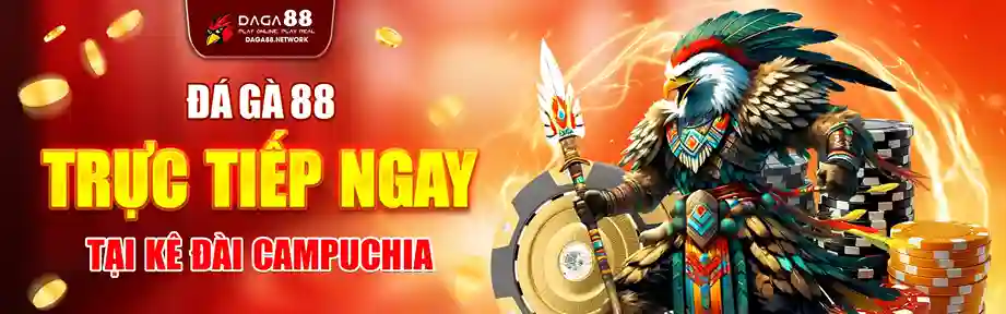 Khuyến mãi